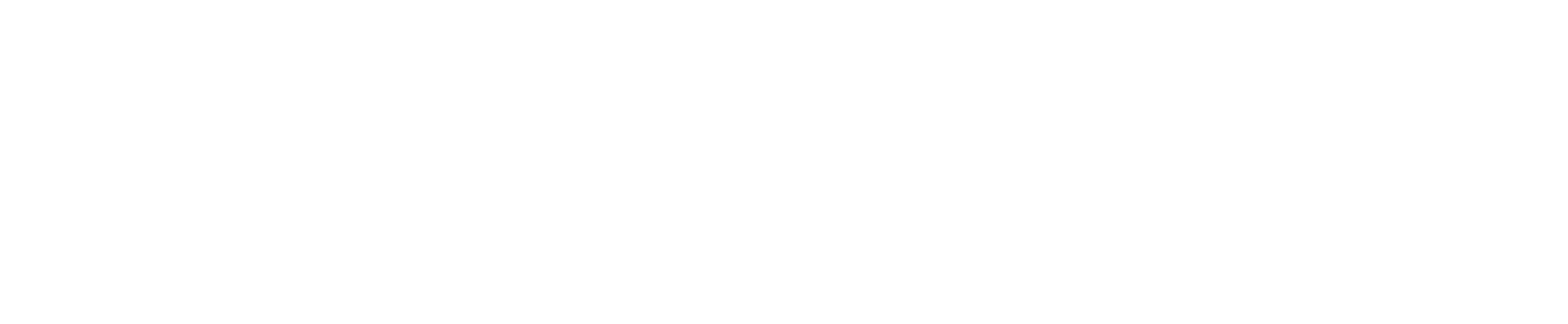 Diamond Paints Logo White