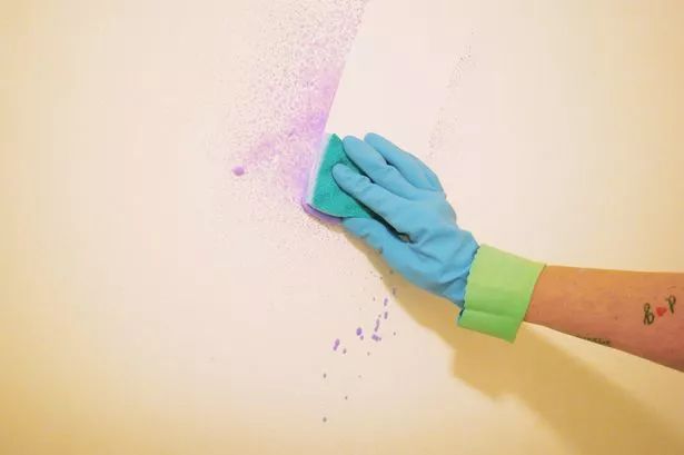 Diamond Paints EasyClean Washable Paint Product