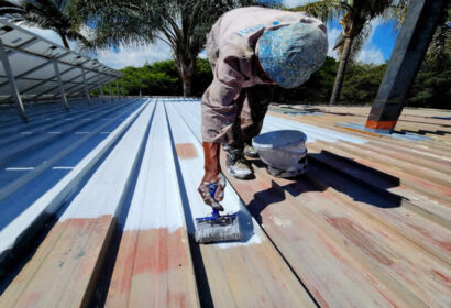 Diamond Paints Roofguard Product
