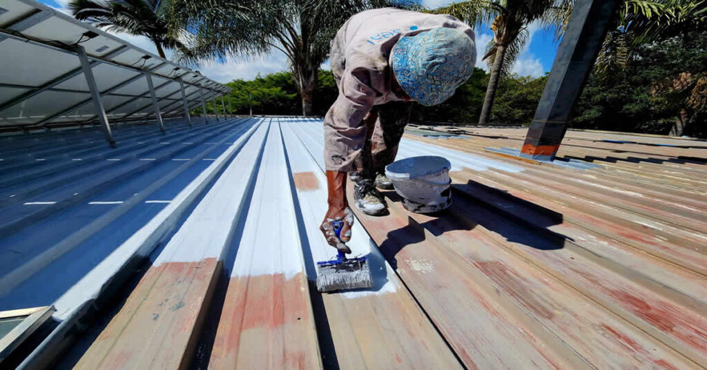 Diamond Paints Roofguard Product