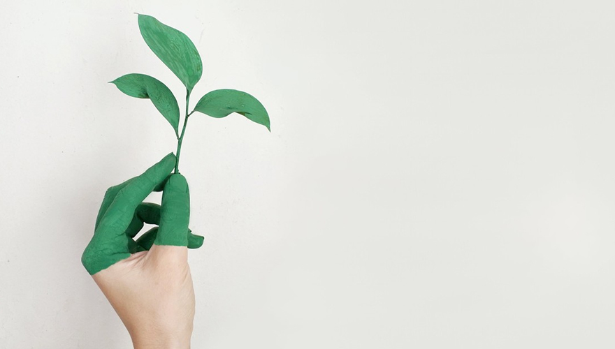 Diamond Paints Eco Friendly Paint Options